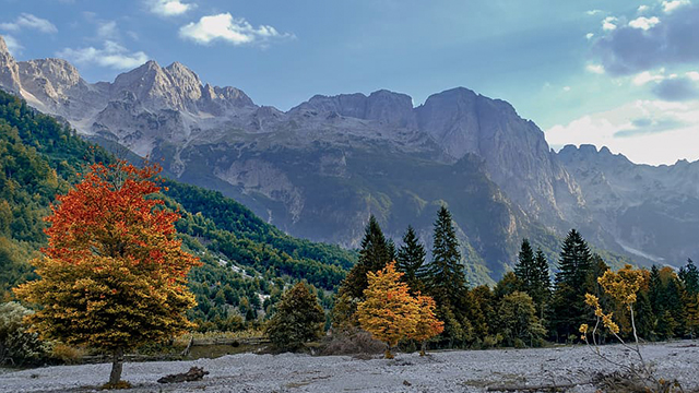 image Albania-2