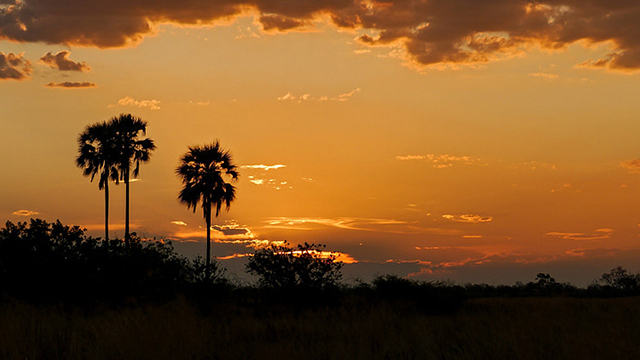 image Botswana-2