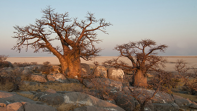 image Botswana-3