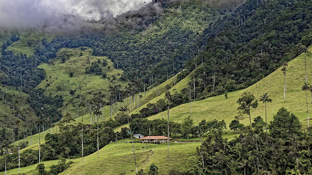 image Colombia-3