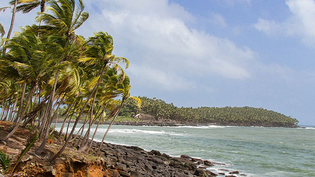 image Frans-Guyana-2