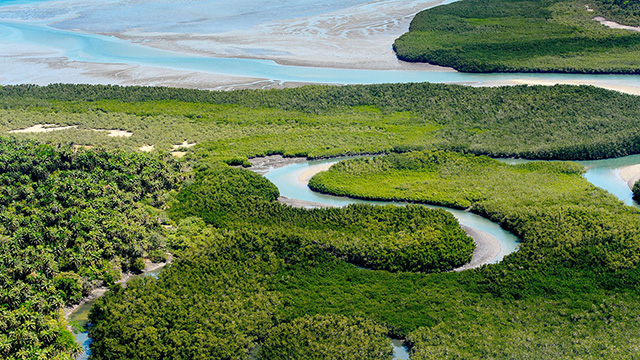 image Guinea-Bissau-1