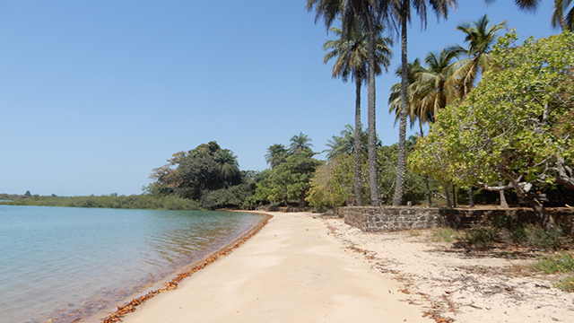 image Guinea-Bissau-2