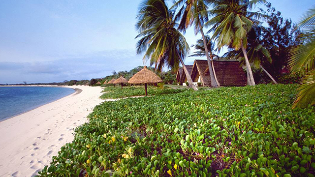image Mozambique-1