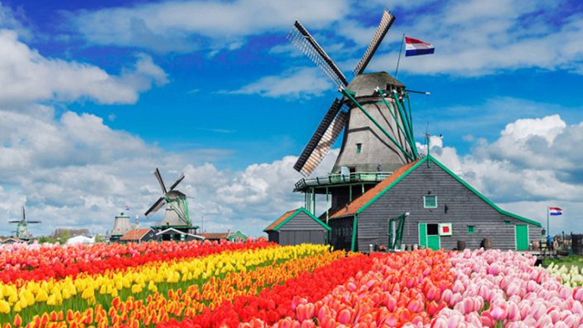 image Netherlands-3